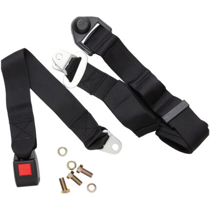 AutoPiclite3PointSafetyBeltBuckle PCT 15594jpg