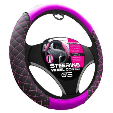 GTS SWCGTSW 02jpg